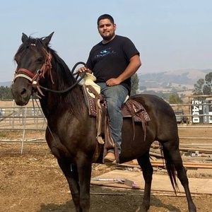 Meet your Posher, Hector